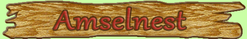 Amselnest